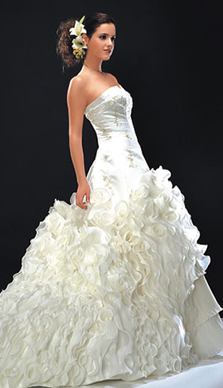 Wedding Dress Wedding Dress Weddings are generally expensive occasions to 
